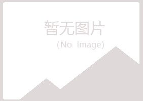 鹤壁山城紫山采矿有限公司